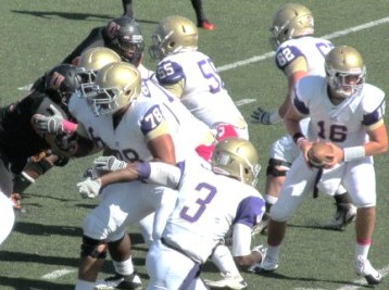 Cats Host No. 21 Faulkner